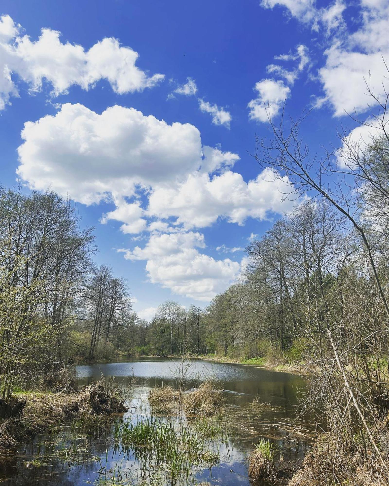 Вілла Masuria Warsaw Skrzeszew Екстер'єр фото