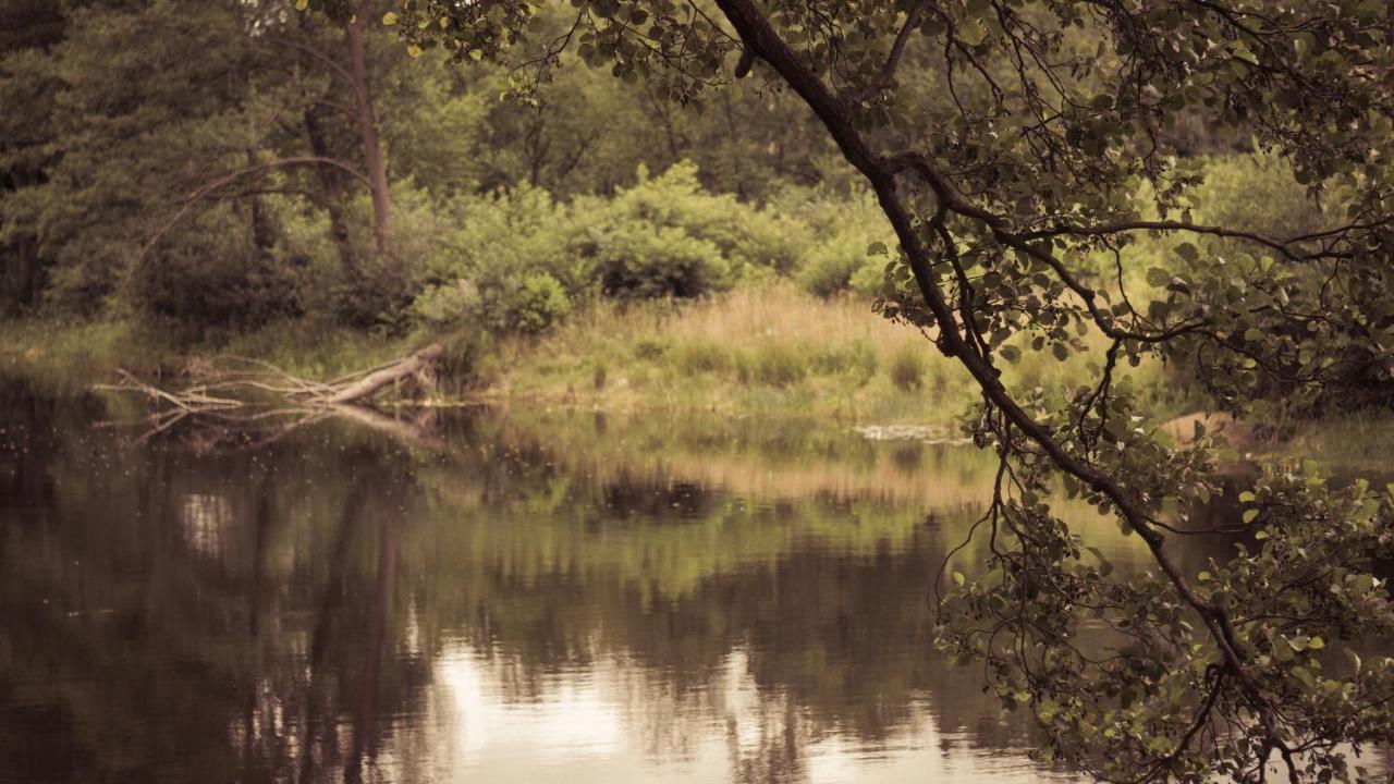 Вілла Masuria Warsaw Skrzeszew Екстер'єр фото