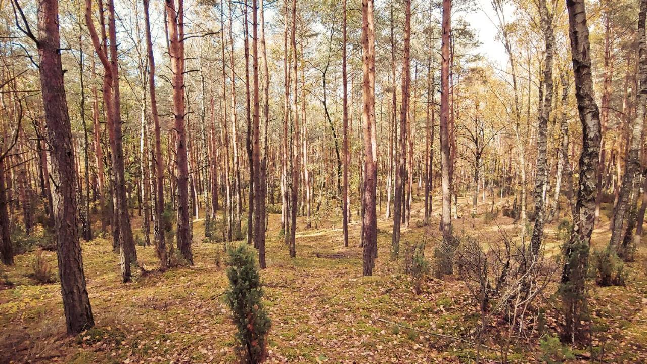 Вілла Masuria Warsaw Skrzeszew Екстер'єр фото